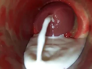Sex Gay Porn 5